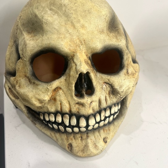 Skeleton Skull Halloween Rubber Mask Adult Size Creepy Life Like Skull - Picture 1 of 6